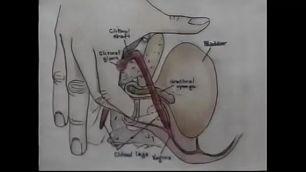 Film caldi Video di formazione sull'orgasmo di educazione sessuale belli