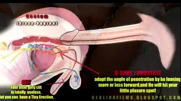 Entrenador asiático de la mariquita buenas películas calientes